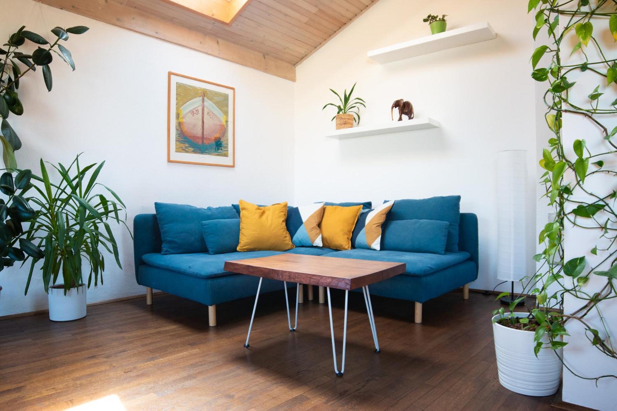 Bivalvia Apartments كوبر المظهر الخارجي الصورة